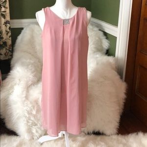 IJBS  Pink Dress 8